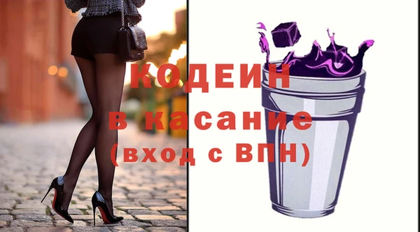 хмурый Бородино