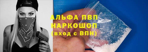 хмурый Бородино