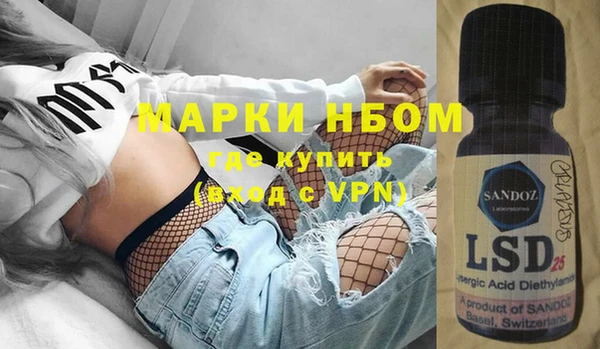 хмурый Бородино