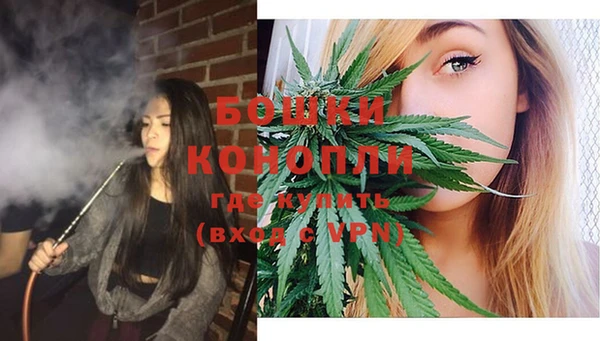хмурый Бородино