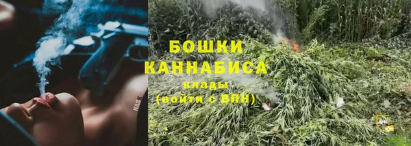 Альфа ПВП Бугульма