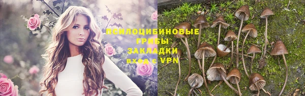 прущий лед Бронницы