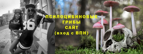 Альфа ПВП Бугульма