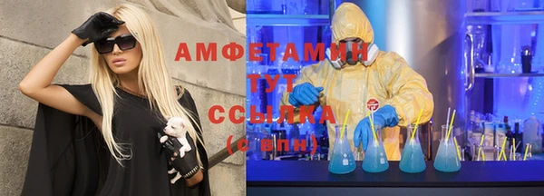 хмурый Бородино