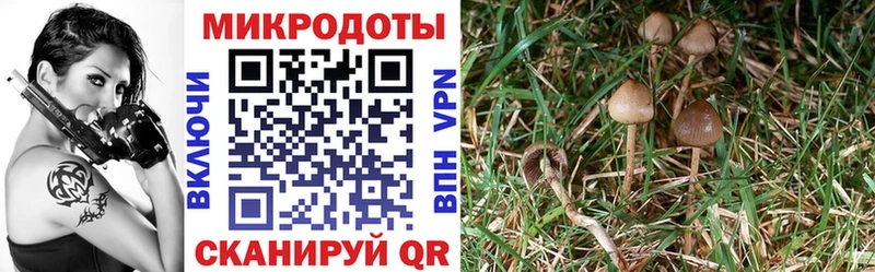 Купить закладки  Мантурово  Галлюциногенные грибы ЛСД 